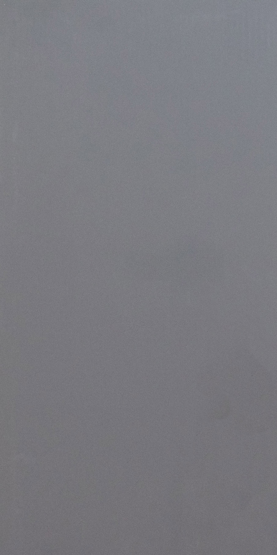 Basic Grigio Polished – 300×600