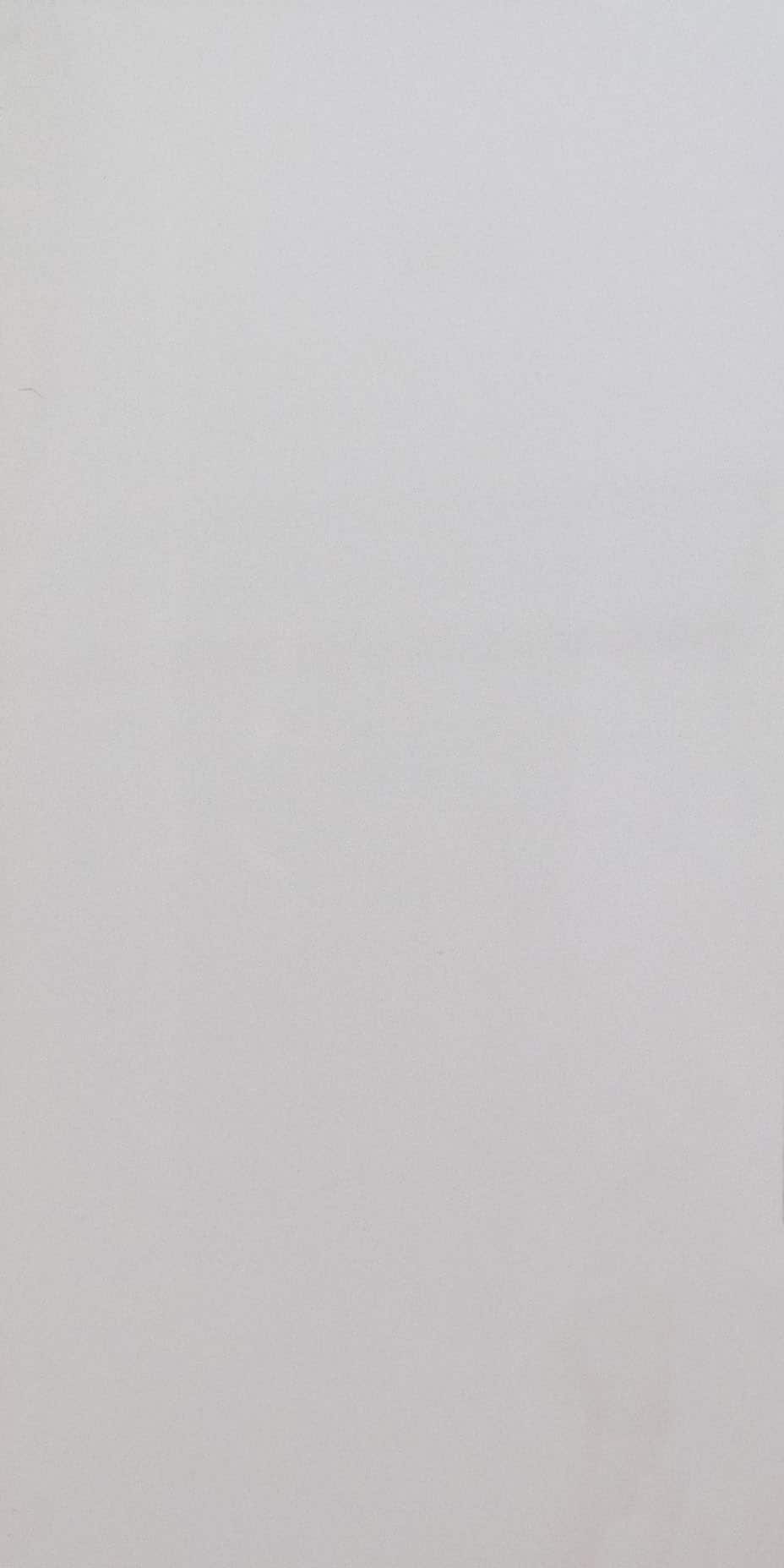 Basic Gris Polished – 300×600