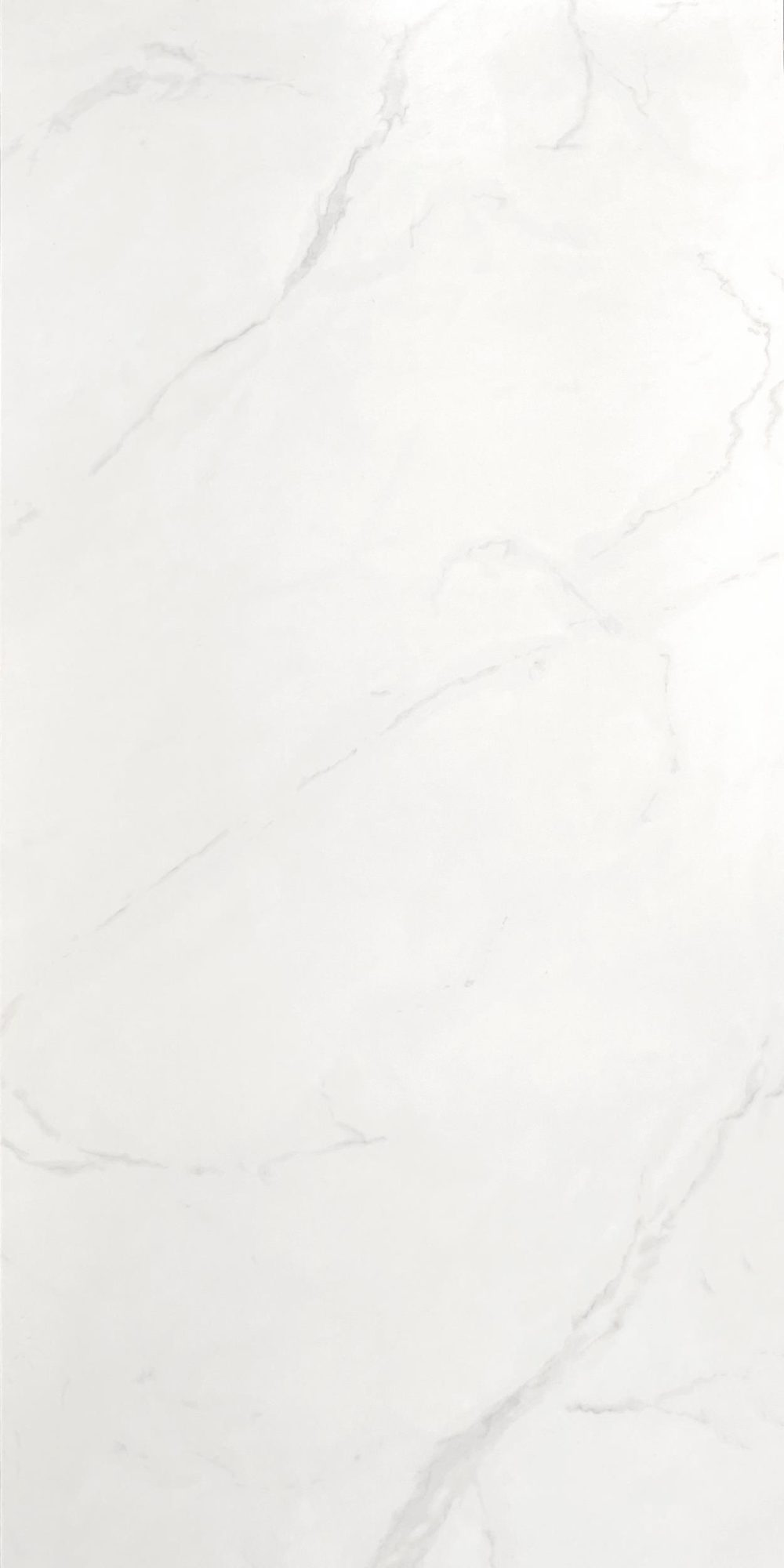 Calacatta Silver Chain Honed - 600x1200 - Elegance Tiles