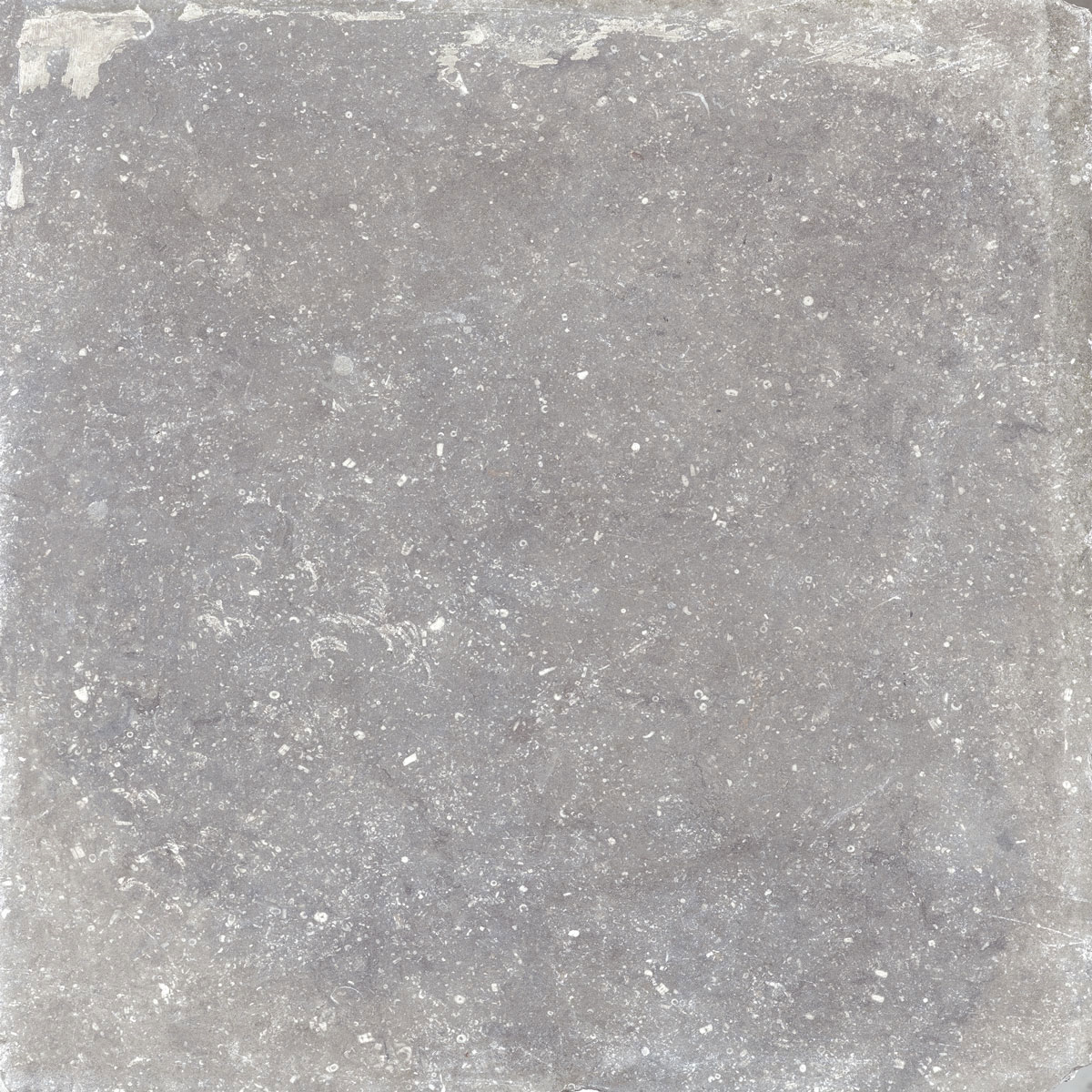 Serenity Light Grey – 600×600