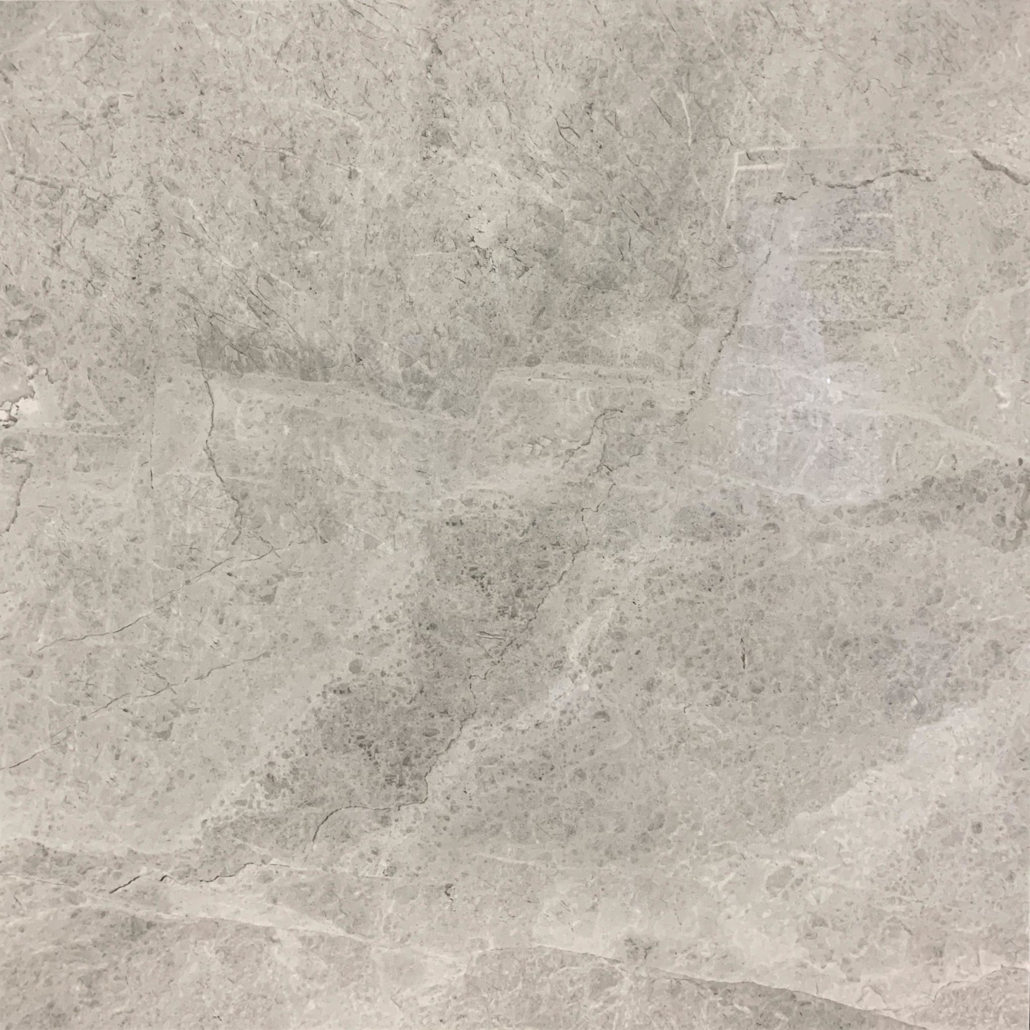 tundra-light-grey-polished-600x600-elegance-tiles