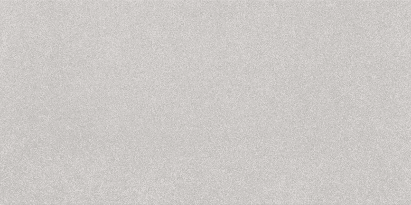 Platinum Grey Matt – 500×1000